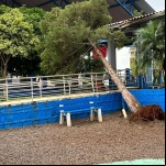 Fotos: Divulgação / Prefeitura de Guaraciaba