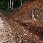 Fotos: Ascom/Prefeitura