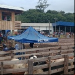 Fotos: Inácio Rohden