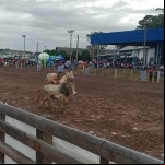Fotos: Inácio Rohden