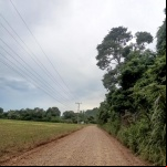 Foto: Divulgação/Prefeitura
