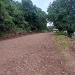 Foto: Divulgação/Prefeitura