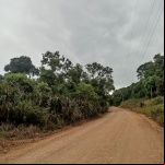 Foto: Divulgação/Prefeitura