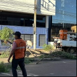 Foto: Marcos de Lima / WH Comunicações