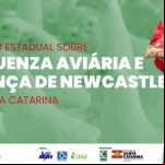Arte:Ascom/Cidasc