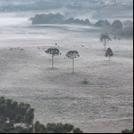 Cidade de SC tem 16 geadas e termina maio com -2,3°C – Foto: Wagner Urbano/NDTV/ND